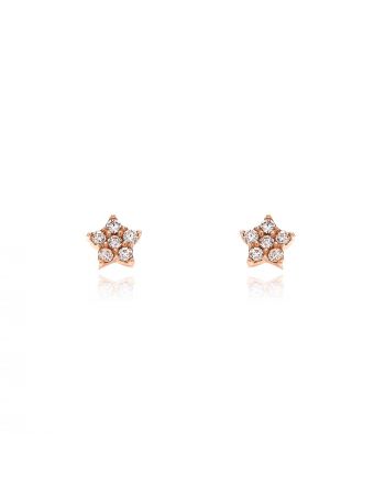 Σκουλαρίκια Αστέρια από Ροζ Χρυσό 14 Καρατίων Κ14 με Πέτρες Ζιργκόν 033899