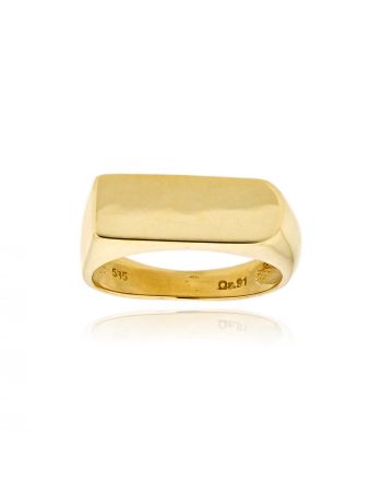 Δαχτυλίδι Σεβαλιέ από Κίτρινο Χρυσό Κ14 041072